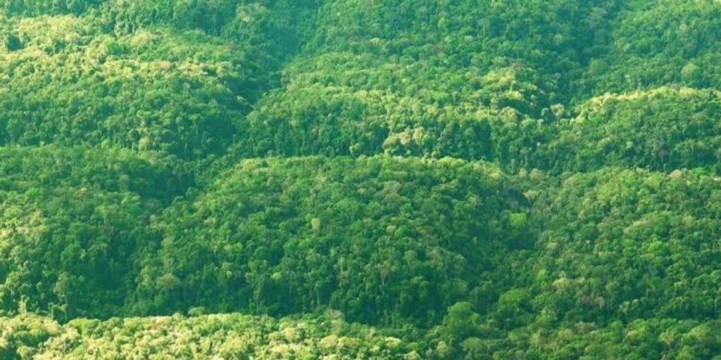 Operação de táxi aéreo em Alta Floresta MT — embarque Voe MTX para agronegócio e ecoturismo no norte do Mato Grosso