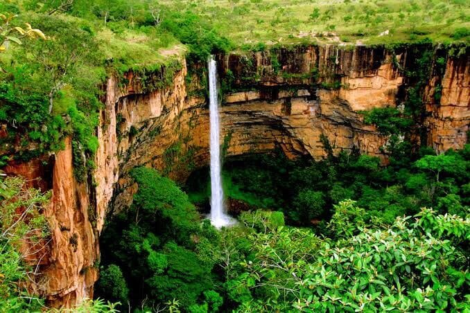 Talhão de soja no Mato Grosso visto do alto durante vistoria de fretamento aéreo