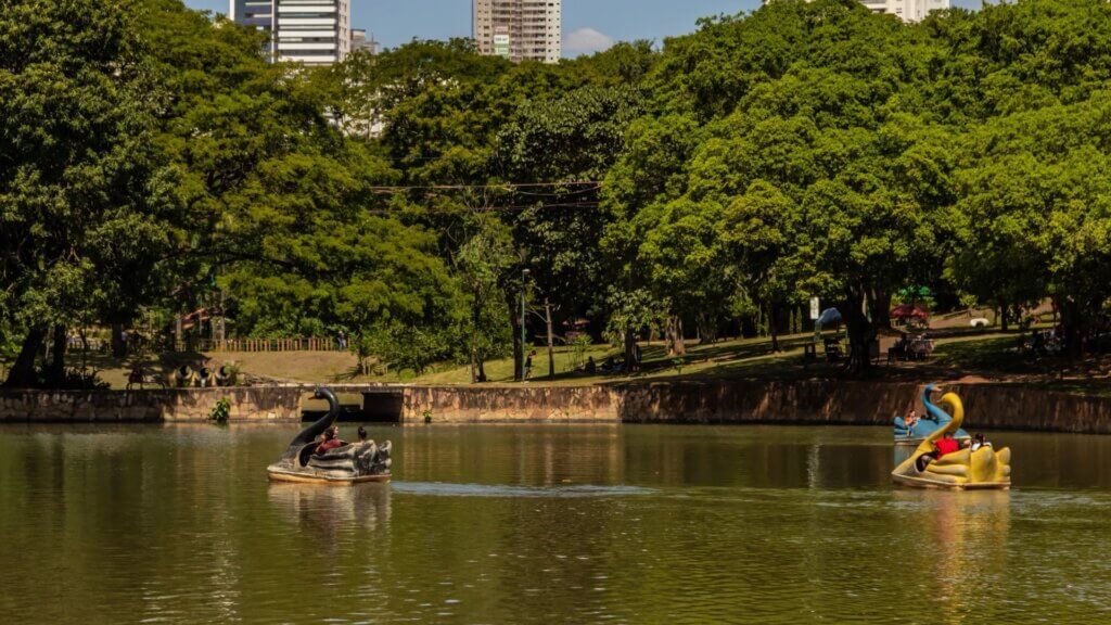 Descubra os Encantos de Goiânia: Cultura, Gastronomia e Natureza 17 5ebe9f3e 385e 401a 93d1 d570b9162390 2 1