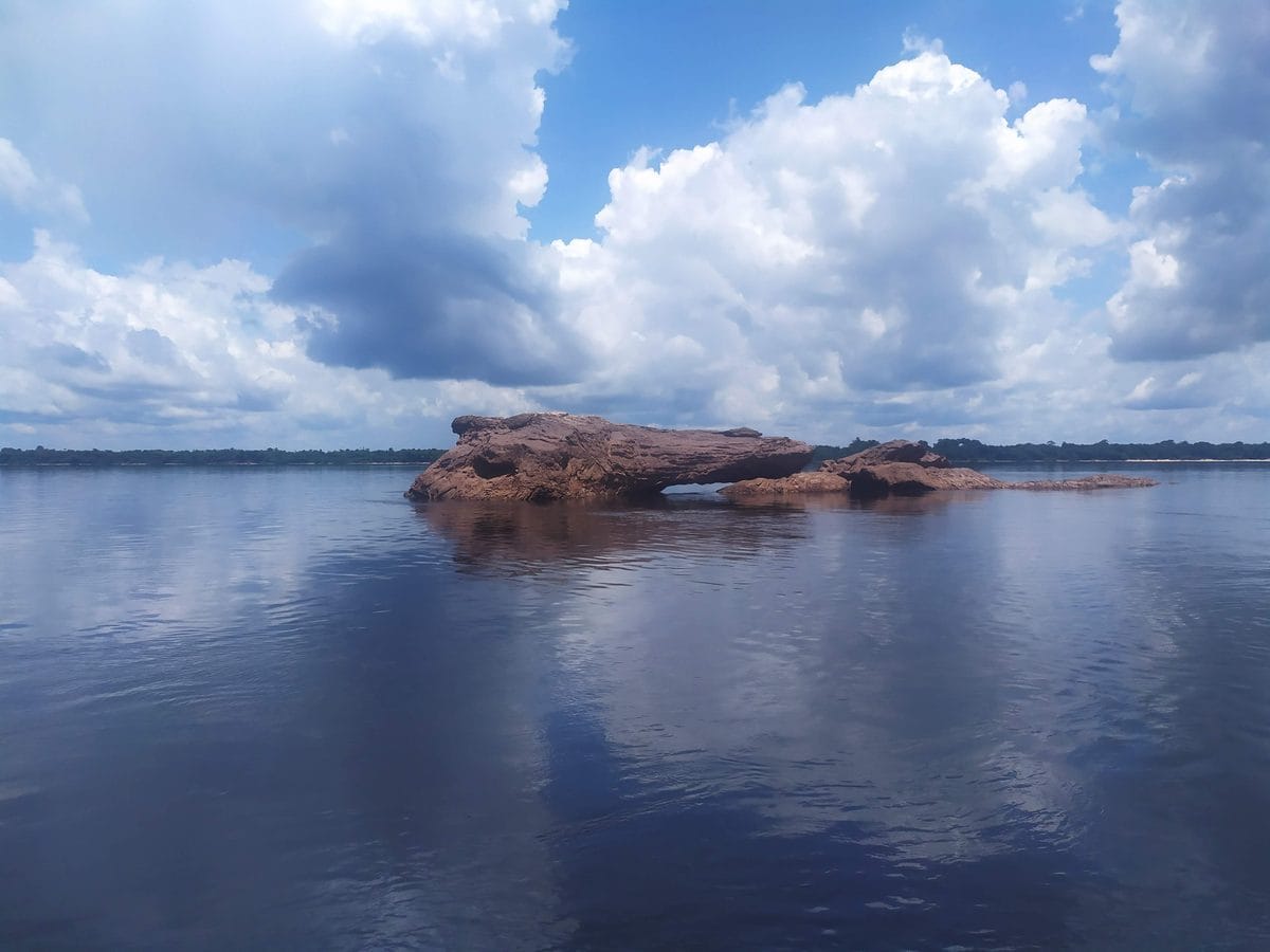 Ilhas de floresta e afloramento rochoso no Rio Negro, dentro do Parque Nacional de Anavilhanas