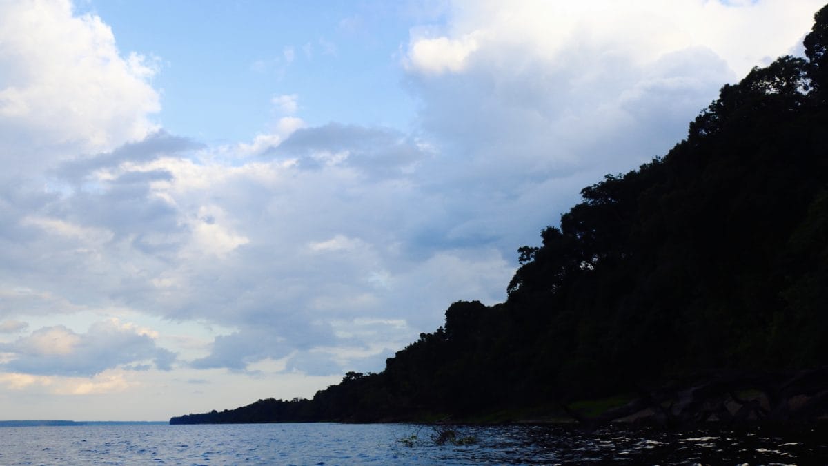 Margem de floresta refletida nas águas escuras do Rio Negro, no Parque Nacional de Anavilhanas