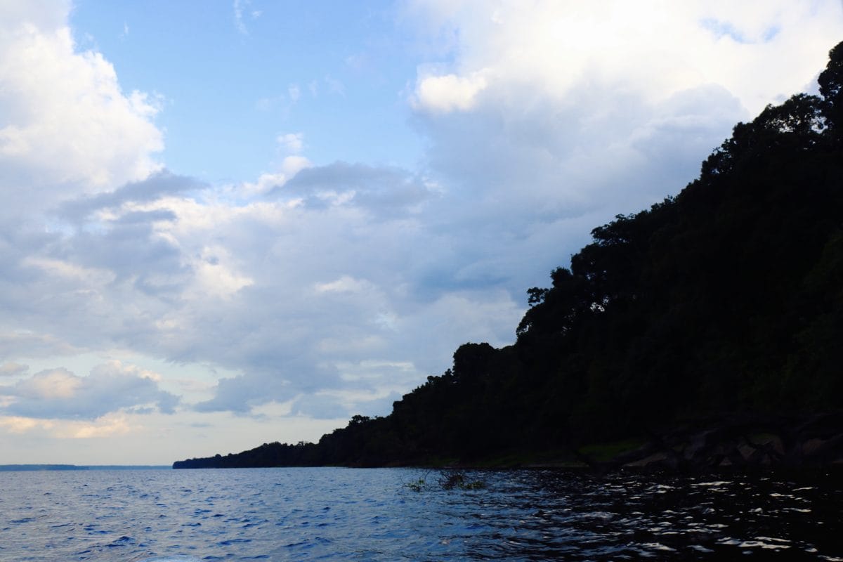 Rio Negro, rota do Motor Yacht Tucano, com a floresta refletida nas águas escuras